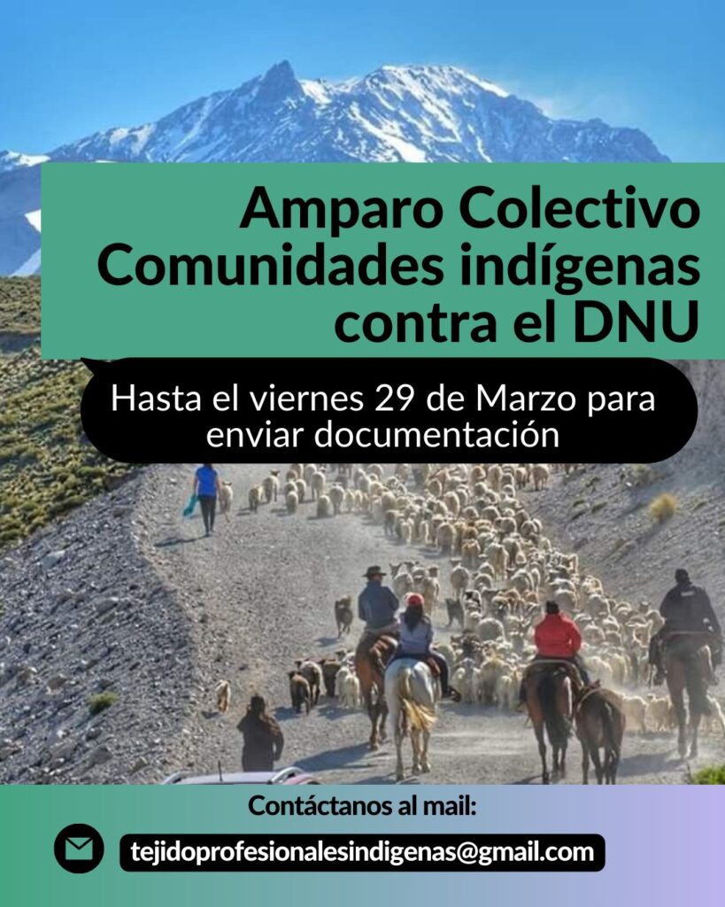 Amparo colectivo de comunidades indígenas contra DNU de Javier Milei