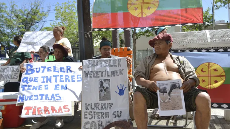 En la Argentina de Milei, comunidad mapuche cumple tercer día de protesta por animales secuestrados por orden judicial